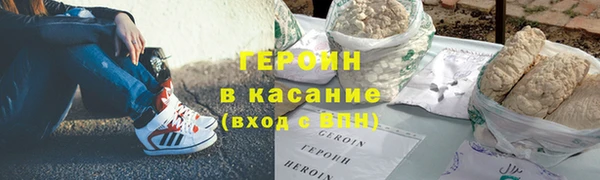 прущие грибы Верхний Тагил